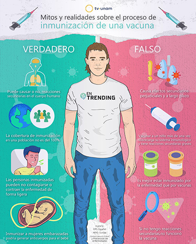 diseño17