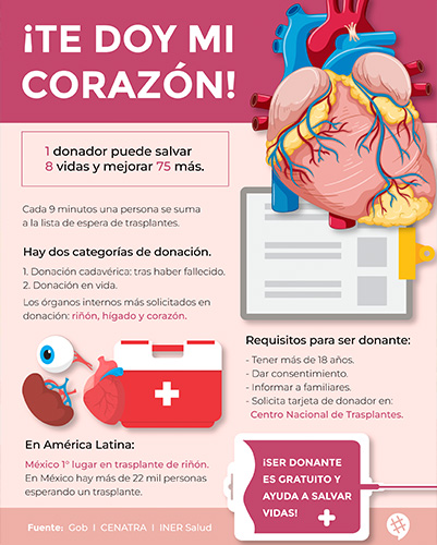 diseño19