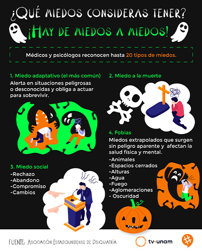diseño22
