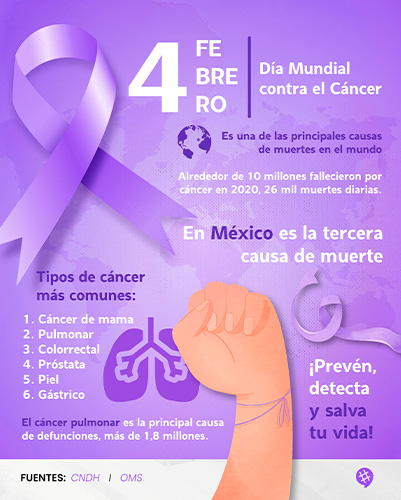 diseño23