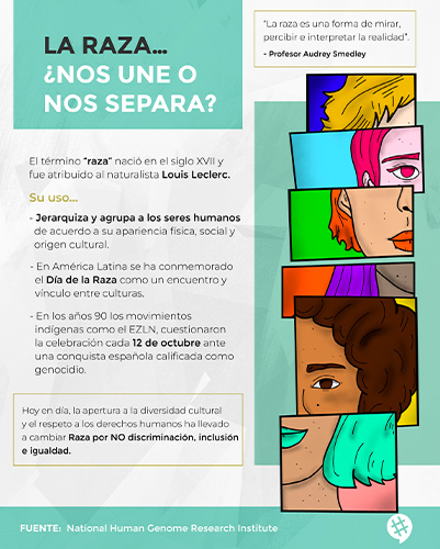 diseño26