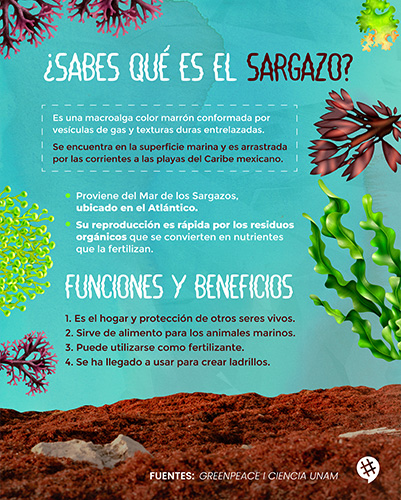 diseño8