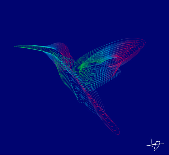 ilustración5