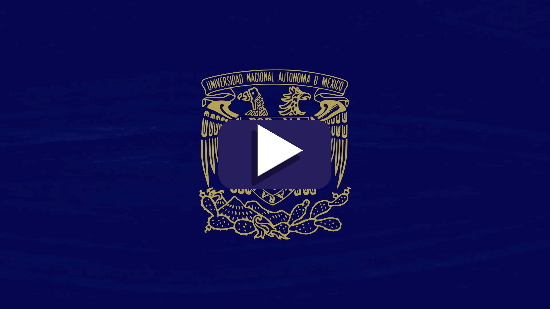 video6