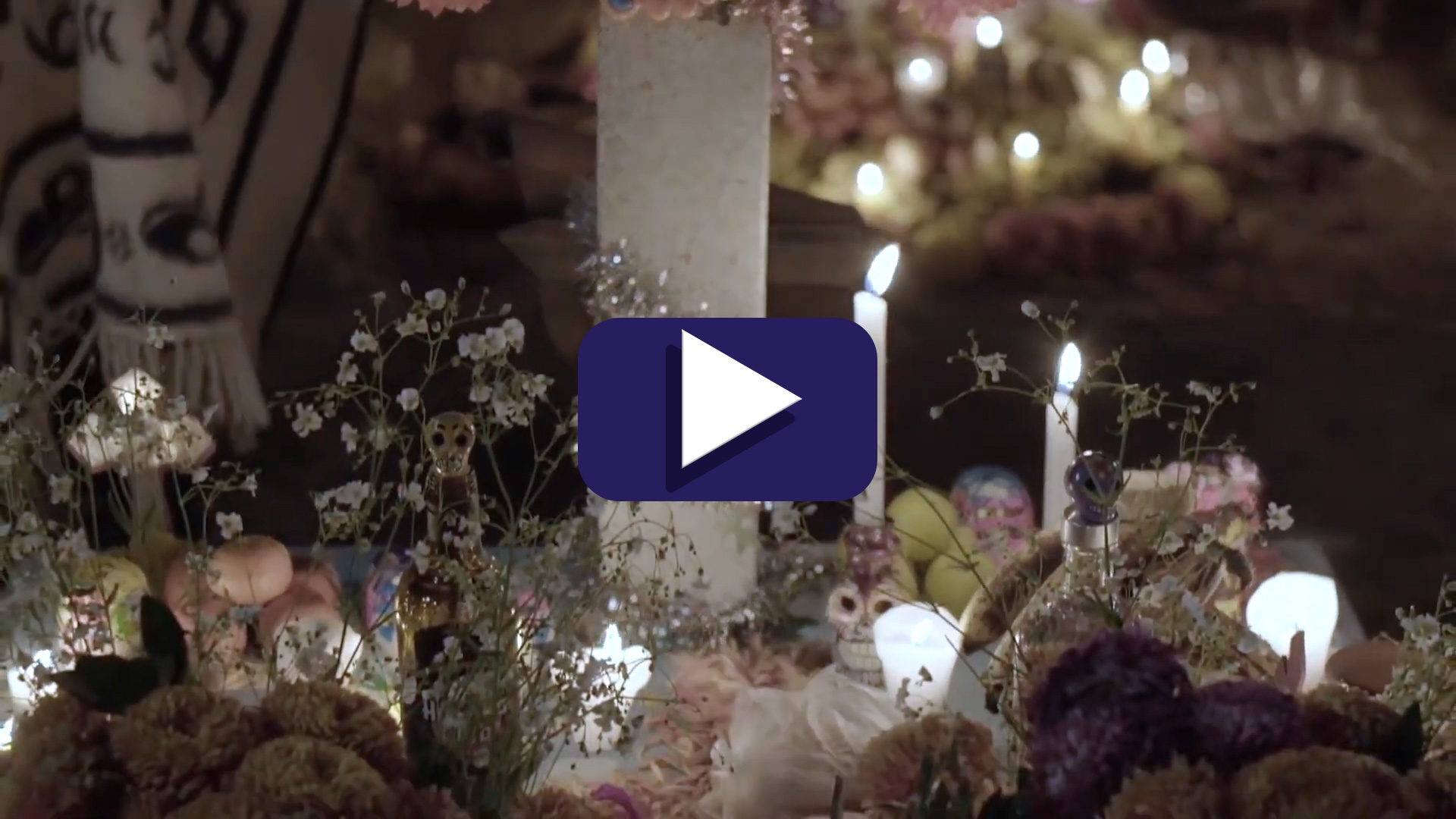 video7
